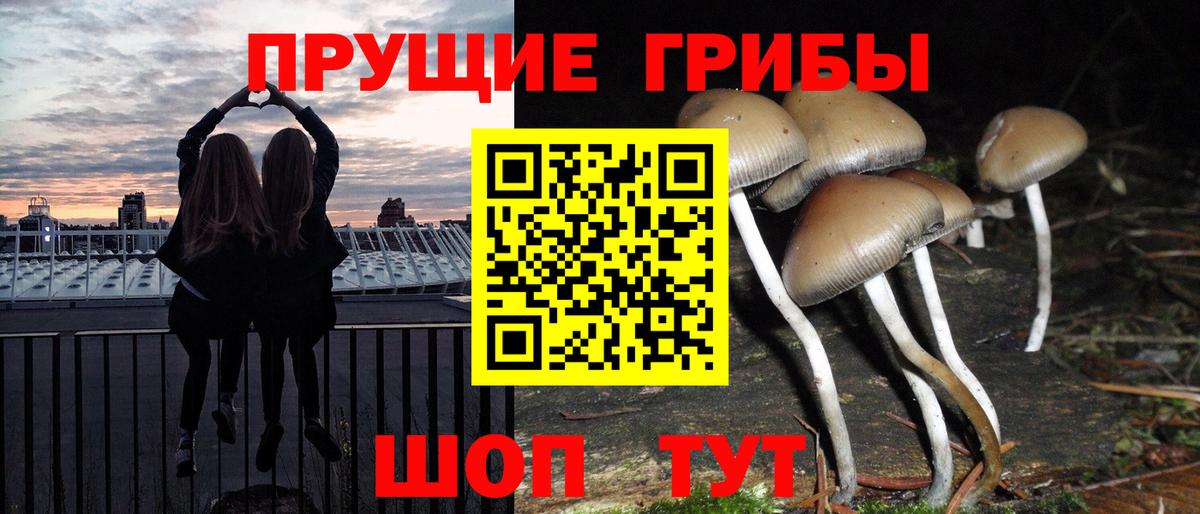Галлюциногенные грибы GOLDEN TEACHER  цена   Псилоцибиновые грибы мицелий  Зеленокумск  Вход с VPN 